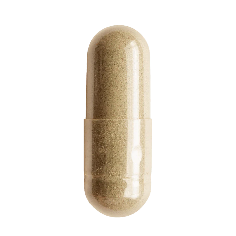 Everyday Wellness Bundle - Image 9